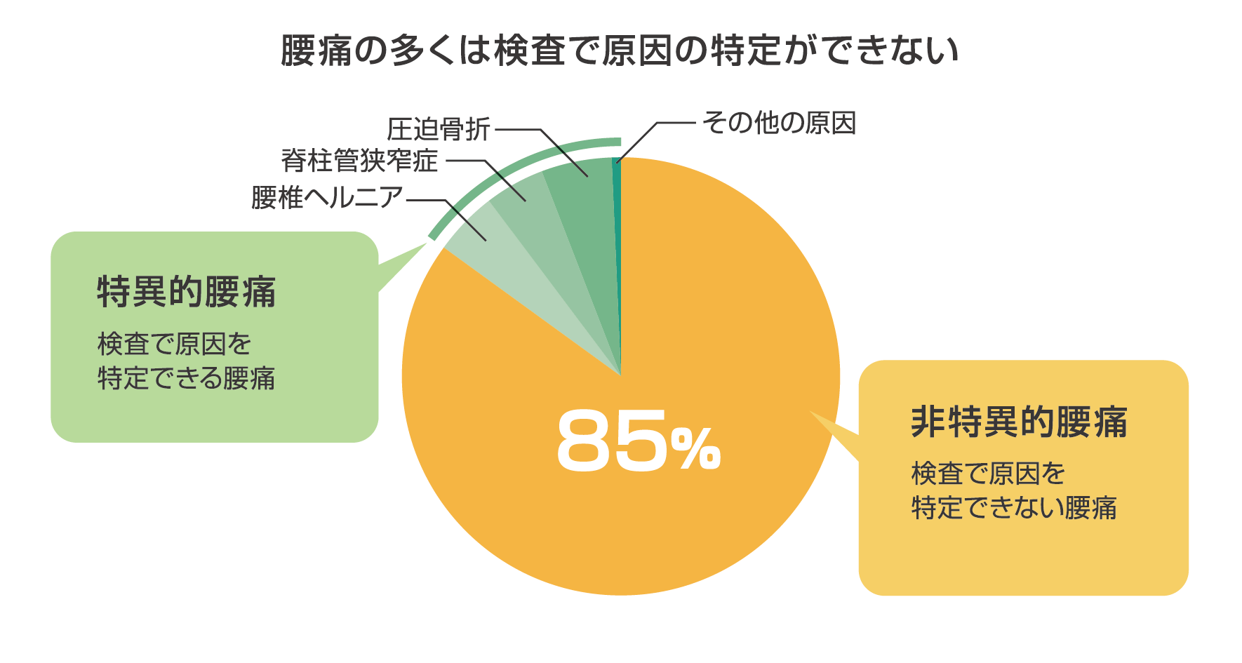 介護予防コラム Br ストレッチ 筋トレで腰痛改善 お知らせ 桜十字の新感覚リハビリジム Let Sリハ