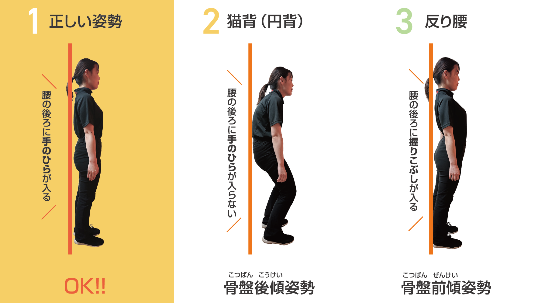 介護予防コラム Br ストレッチ 筋トレで腰痛改善 お知らせ 桜十字の新感覚リハビリジム Let Sリハ