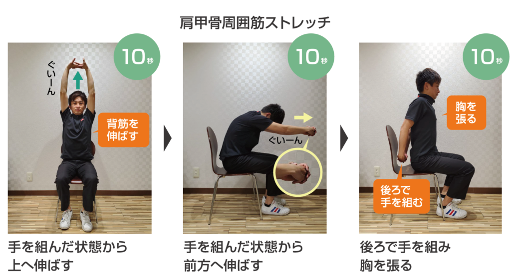 理学療法は保険またはメディケアの対象になりますか?