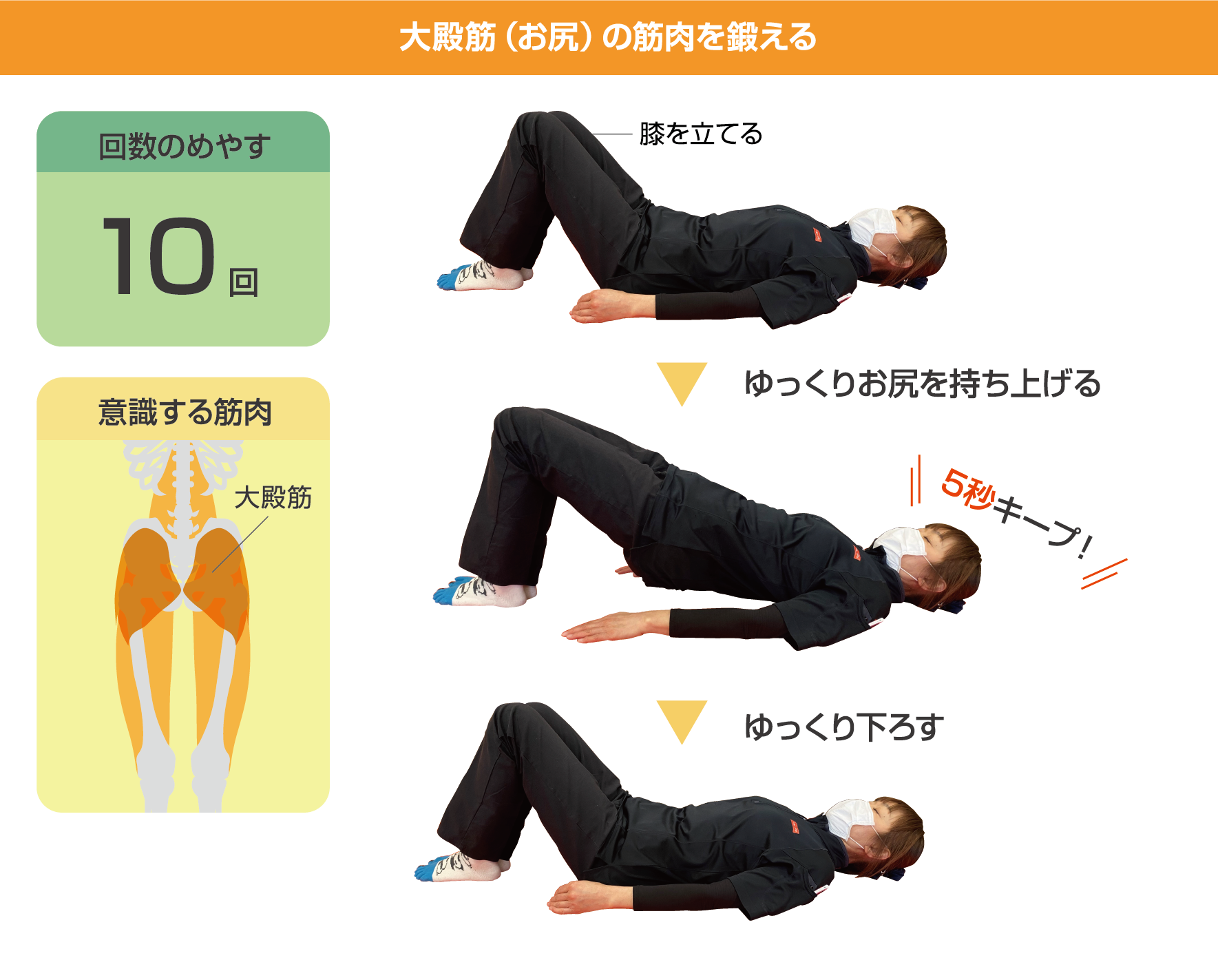 筋 トレ 筋 大殿 朝の筋トレは三文の徳。早朝おすすめメニューと筋肥大効果を解説