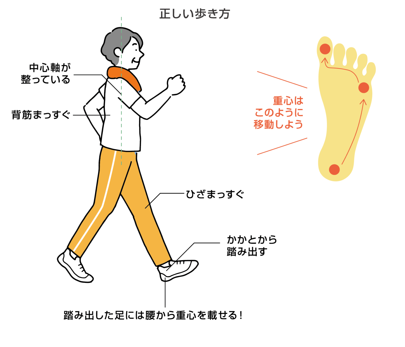 【介護予防コラム⑲】正しい歩き方で見た目年齢が若返る!?|お知らせ|桜十字の新感覚リハビリジム Let'sリハ!