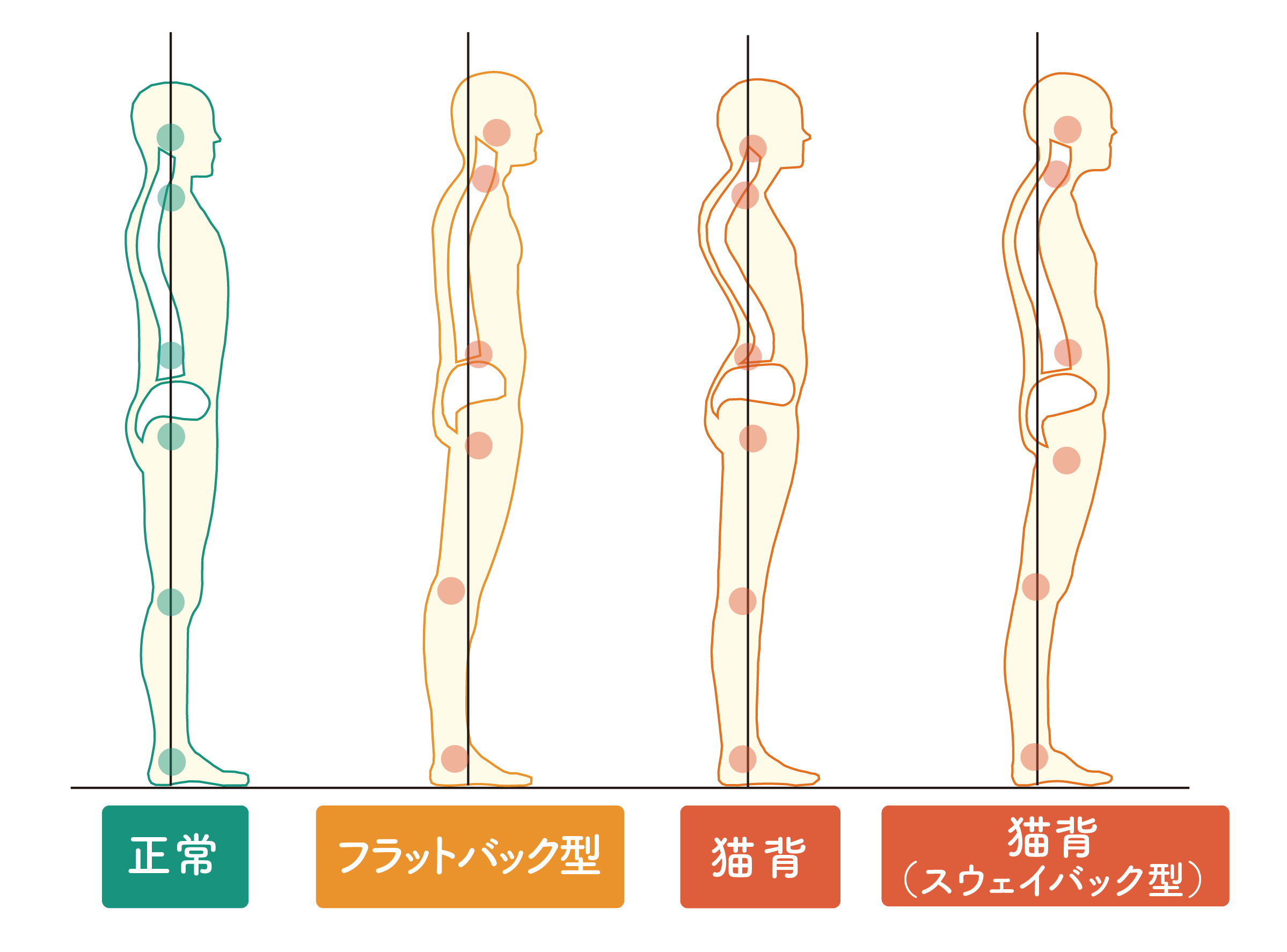 姿勢の種類