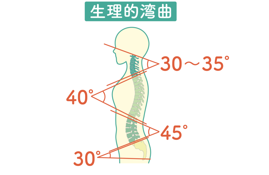 生理的湾曲