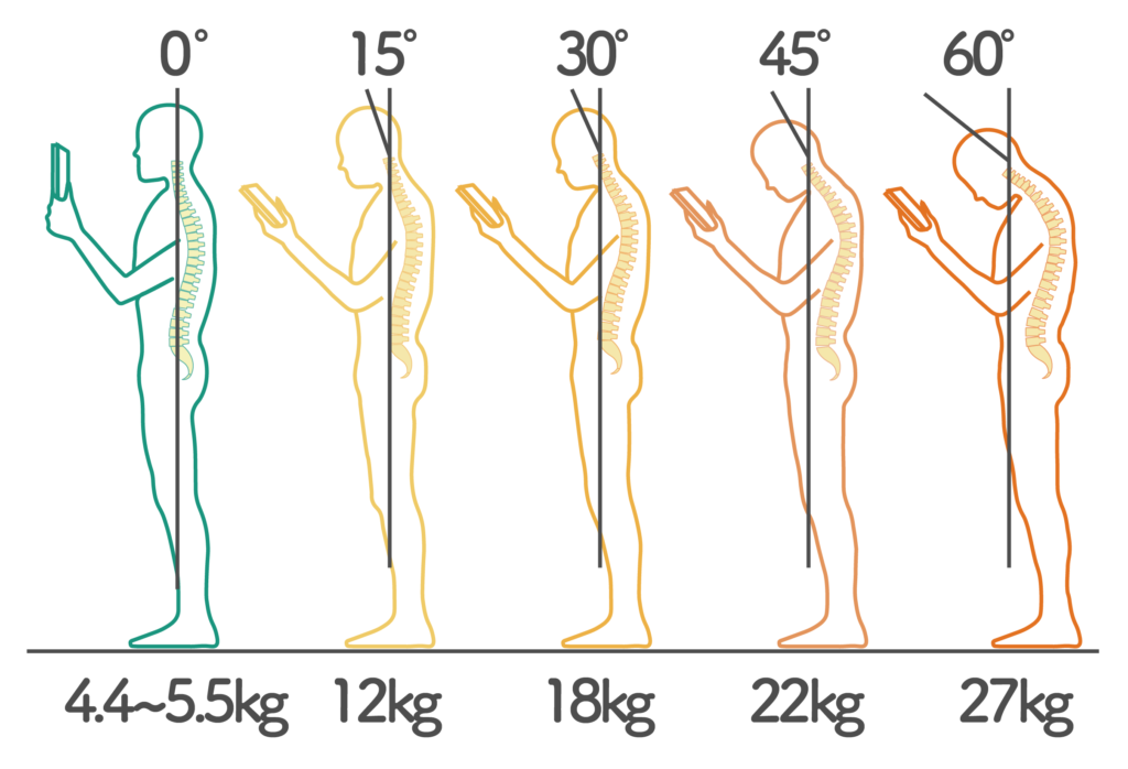 首の角度と肩回りにかかる重さの負担の関係