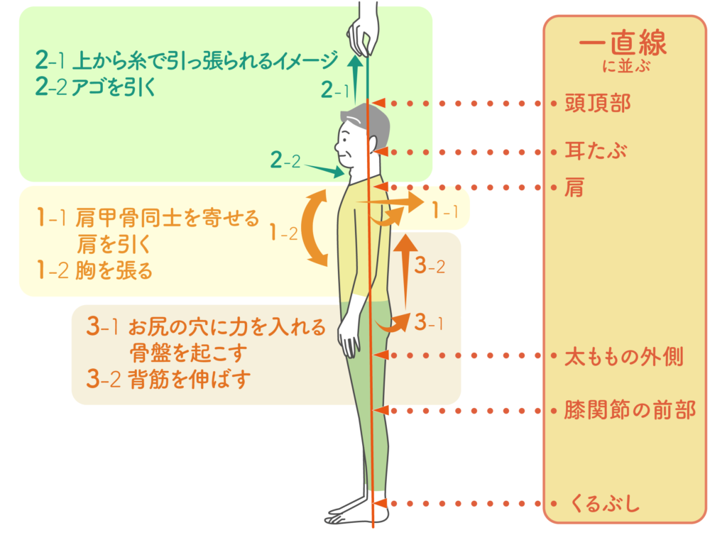 肩に負担のかからない正しい姿勢