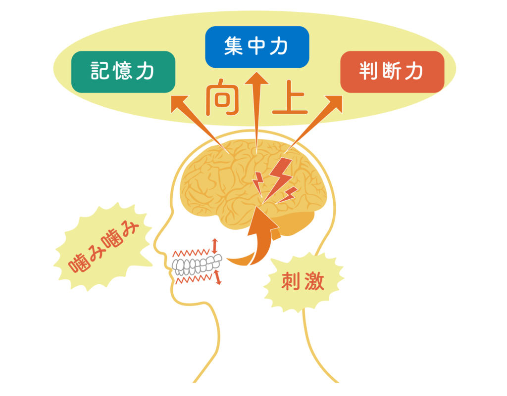噛むことで予防できる認知症